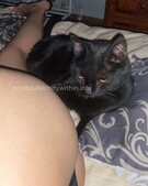 Анкета проститутки Наташа - метро Тимирязевский, возраст - 23